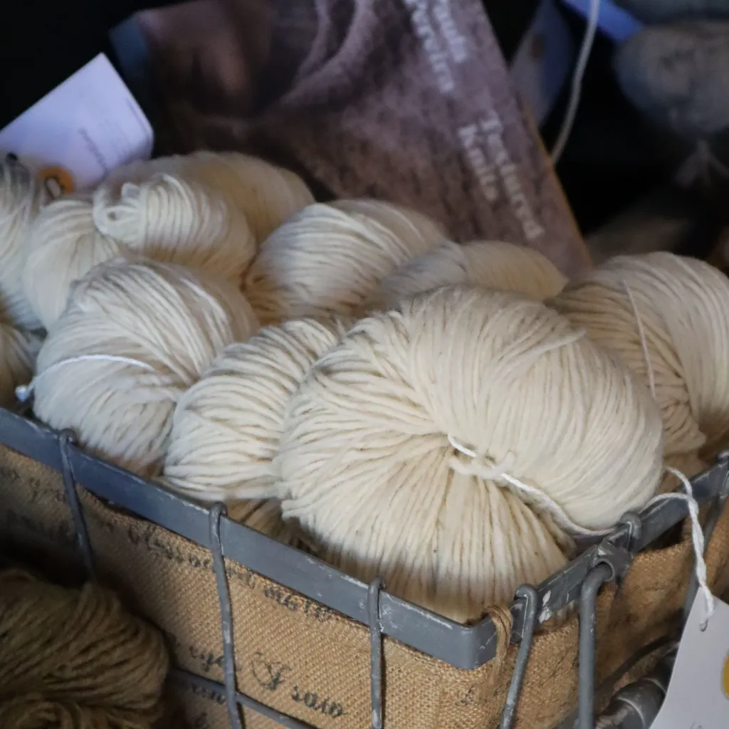 rollupthesheep_laurentino.webp