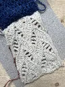 IMG_2555.webp