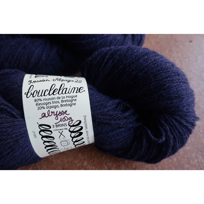 Boucle Laine - Roussin Alpaga DK