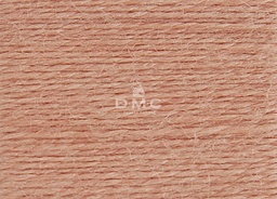 DMC - Fils à broder/repriser Eco Vita (301)