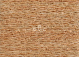 DMC - Fils à broder/repriser Eco Vita (302)