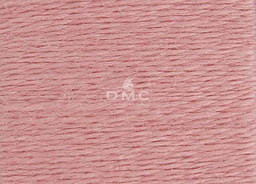 DMC - Fils à broder/repriser Eco Vita (402)