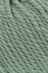 Kit débutant * Bonnet tricoté* (Sauge)