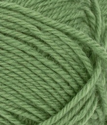 Sandnes Garn - Peer Gynt (8753 Vineyard green)