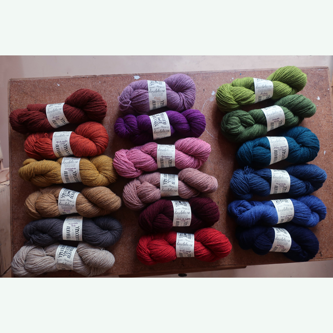 Boucle Laine - Roussin Alpaga DK